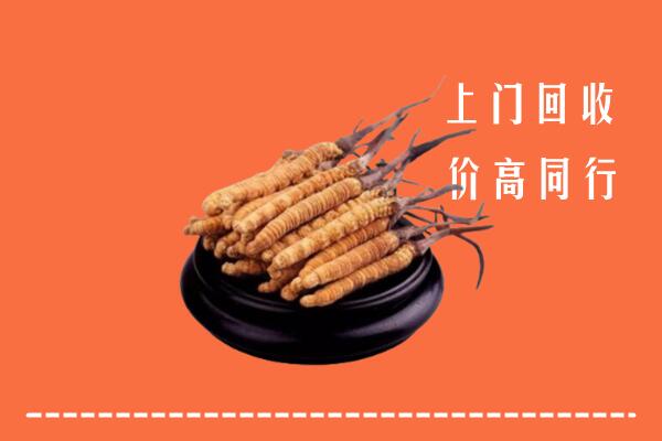 高价求购：遵义市仁怀市回收散虫草
