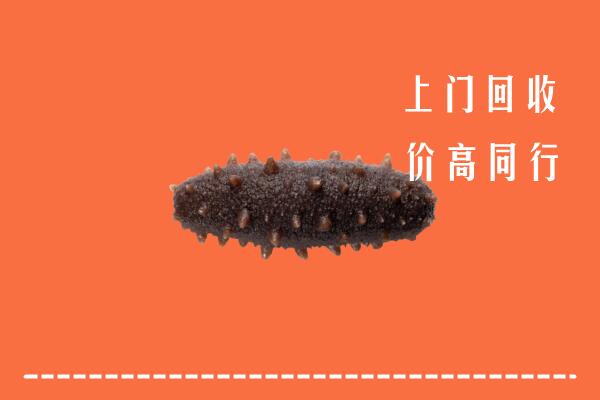 高价求购：遵义市仁怀市回收海参
