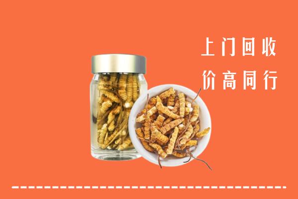 遵义市仁怀市回收冬虫夏草